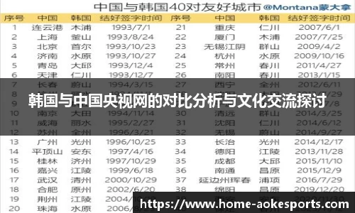 韩国与中国央视网的对比分析与文化交流探讨